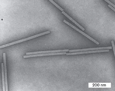 Figure from Chapter 6, Microbiology: An Evolving Science 6e