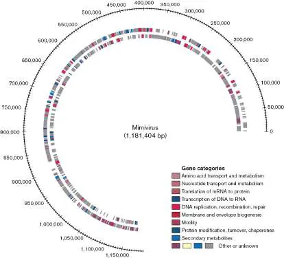 Figure from Chapter 6, Microbiology: An Evolving Science 6e