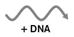 Figure from Chapter 6, Microbiology: An Evolving Science 6e