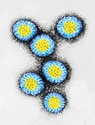 Figure from Chapter 6, Microbiology: An Evolving Science 6e