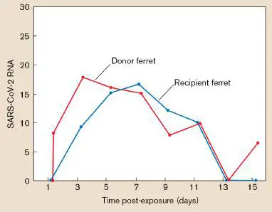 Figure from Chapter 6, Microbiology: An Evolving Science 6e