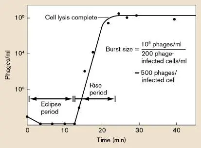 Figure from Chapter 6, Microbiology: An Evolving Science 6e