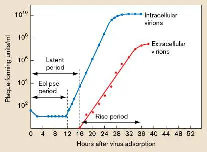Figure from Chapter 6, Microbiology: An Evolving Science 6e