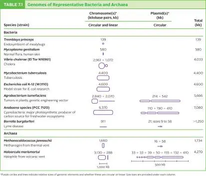 Figure from Chapter 7, Microbiology: An Evolving Science 6e