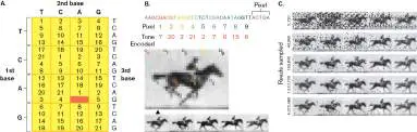 Figure from Chapter 7, Microbiology: An Evolving Science 6e