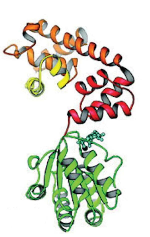Figure from the course study guide