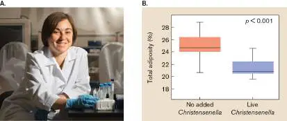 Figure from Chapter 7, Microbiology: An Evolving Science 6e