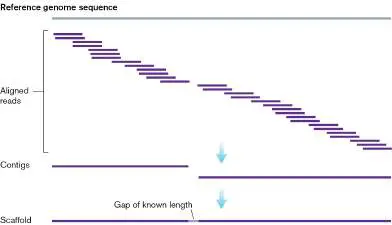 Figure from Chapter 7, Microbiology: An Evolving Science 6e