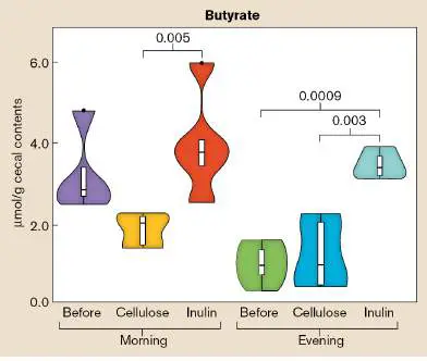 Figure from Chapter 7, Microbiology: An Evolving Science 6e