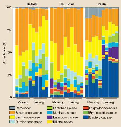 Figure from Chapter 7, Microbiology: An Evolving Science 6e