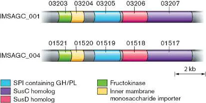 Figure from Chapter 7, Microbiology: An Evolving Science 6e