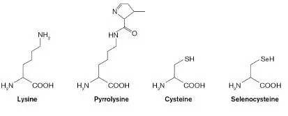 Figure from Chapter 8, Microbiology: An Evolving Science 6e