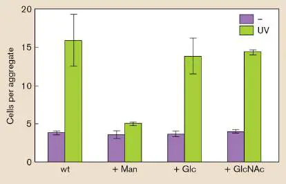 Figure from Chapter 8, Microbiology: An Evolving Science 6e