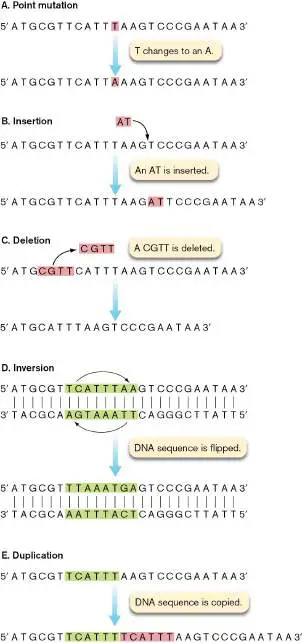 Figure from Chapter 9, Microbiology: An Evolving Science 6e