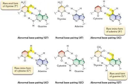 Figure from Chapter 9, Microbiology: An Evolving Science 6e
