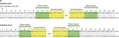 Figure from Chapter 9, Microbiology: An Evolving Science 6e