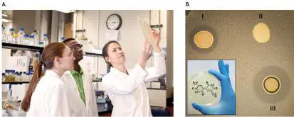 Figure from Chapter 9, Microbiology: An Evolving Science 6e