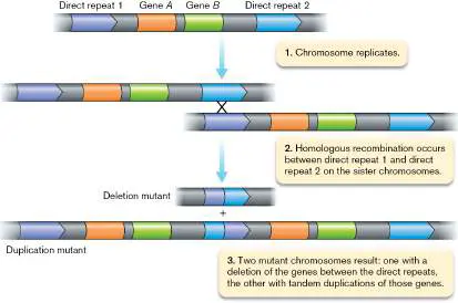 Figure from Chapter 9, Microbiology: An Evolving Science 6e
