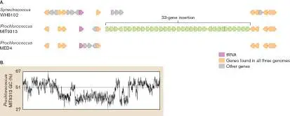 Figure from Chapter 9, Microbiology: An Evolving Science 6e