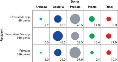 Figure from Chapter 9, Microbiology: An Evolving Science 6e