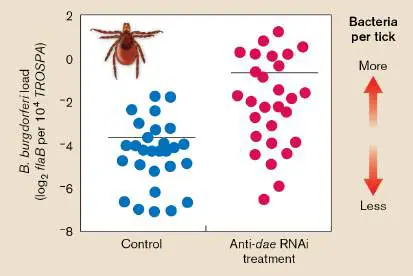 Figure from Chapter 9, Microbiology: An Evolving Science 6e