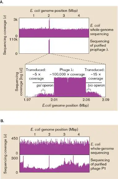 Figure from Chapter 9, Microbiology: An Evolving Science 6e
