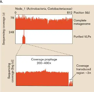 Figure from Chapter 9, Microbiology: An Evolving Science 6e
