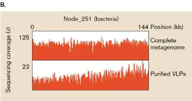 Figure from Chapter 9, Microbiology: An Evolving Science 6e