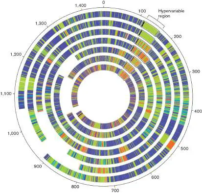Figure from Chapter 9, Microbiology: An Evolving Science 6e