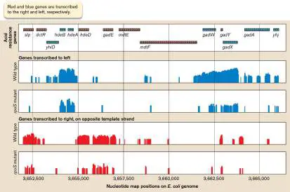 Figure from Chapter 10, Microbiology: An Evolving Science 6e