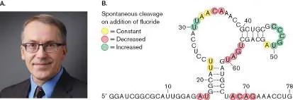 Figure from Chapter 10, Microbiology: An Evolving Science 6e