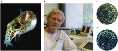 Figure from Chapter 10, Microbiology: An Evolving Science 6e