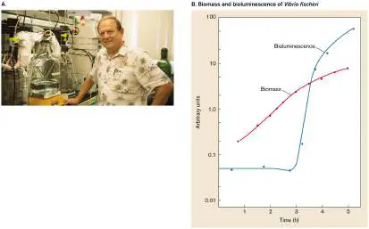 Figure from Chapter 10, Microbiology: An Evolving Science 6e