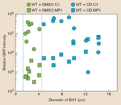 Figure from Chapter 10, Microbiology: An Evolving Science 6e