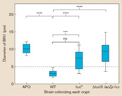 Figure from Chapter 10, Microbiology: An Evolving Science 6e