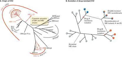Figure from Chapter 11, Microbiology: An Evolving Science 6e