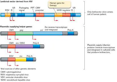 Figure from Chapter 11, Microbiology: An Evolving Science 6e