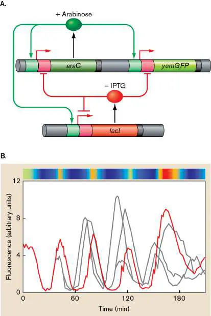 Figure from Chapter 12, Microbiology: An Evolving Science 6e
