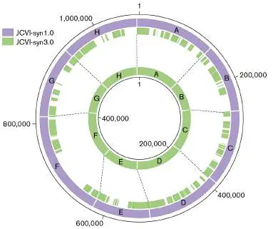 Figure from Chapter 12, Microbiology: An Evolving Science 6e