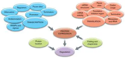 Figure from Chapter 12, Microbiology: An Evolving Science 6e