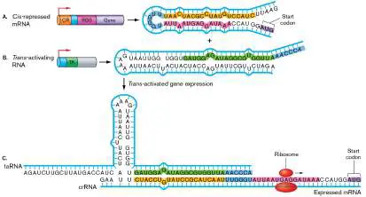 Figure from Chapter 12, Microbiology: An Evolving Science 6e
