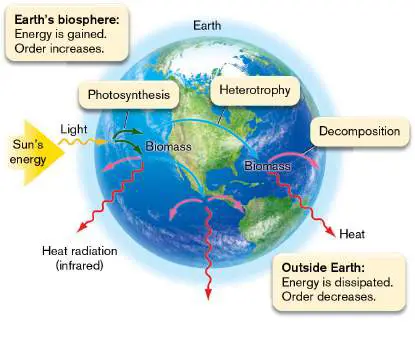 Figure from Chapter 13, Microbiology: An Evolving Science 6e