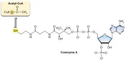 Figure from Chapter 13, Microbiology: An Evolving Science 6e
