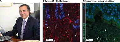 Figure from Chapter 13, Microbiology: An Evolving Science 6e