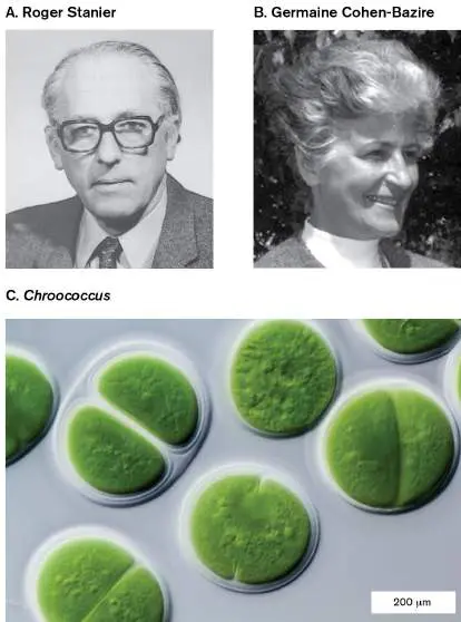 Figure from Chapter 14, Microbiology: An Evolving Science 6e