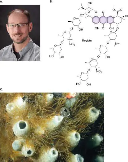 Figure from Chapter 15, Microbiology: An Evolving Science 6e