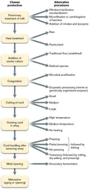 Figure from Chapter 16, Microbiology: An Evolving Science 6e