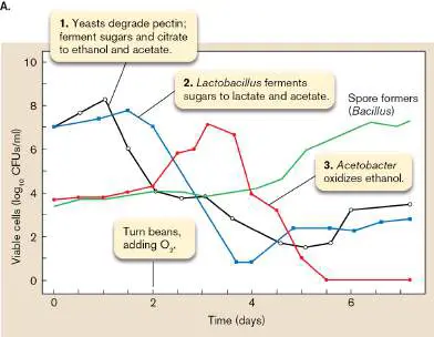 Figure from Chapter 16, Microbiology: An Evolving Science 6e