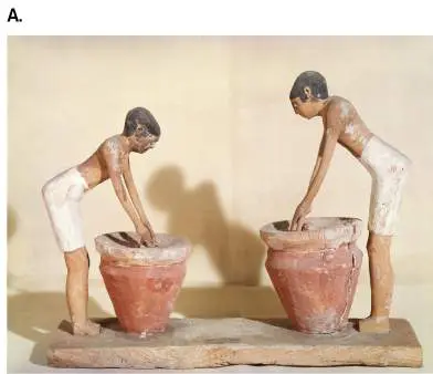 Figure from Chapter 16, Microbiology: An Evolving Science 6e