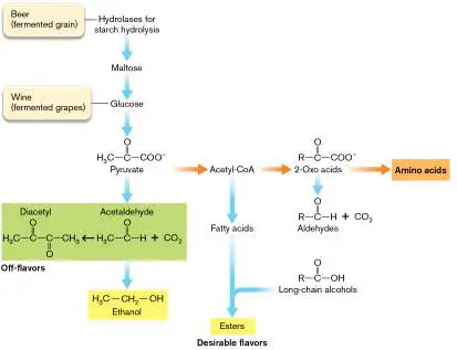 Figure from Chapter 16, Microbiology: An Evolving Science 6e